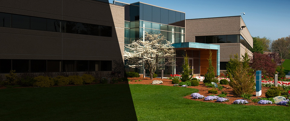Ladera Ranch Landscapers