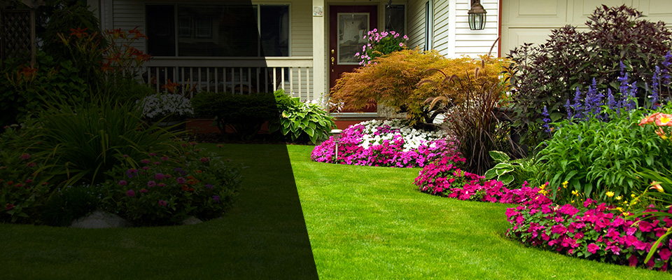 Ladera Ranch Landscapers