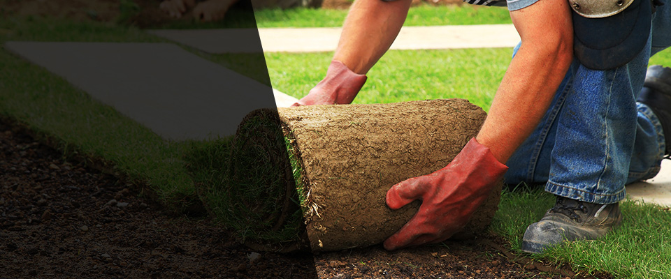 Ladera Ranch Landscapers